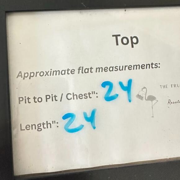 Vintage Dressbarn Woman Top 1X Velvet Burnout Whimsigoth Autumn Fairy Stretch - Picture 7 of 7